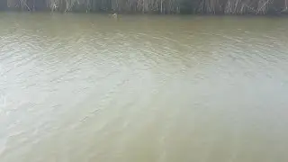 На Рыбалке, Новое Место