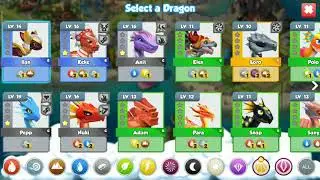 I got PEACOCK DRAGON
