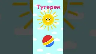 ШАЯН Формалар - Түгәрәк