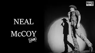 Neal McCoy - If I Was A Drinkin' Man