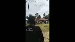 PERSATUAN WARGA PAPUA TERKINI