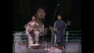 《玉蜻蜓》选曲（二胡）- 马晓辉 / Selections from "The Jade Dragonfly" (Erhu) - Ma Xiaohui
