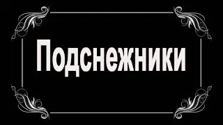 Немое кино. Подснежники