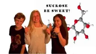 SUGAR MOLECULE PROJECT Fulls size
