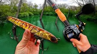 EPIC Spring Musky Fishing (4 Fish Day!)