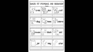 How to answer Singular plural worksheet