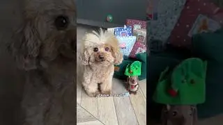 Кто-то ВСКРЫЛ подарок!!! 😨 ЧТО СЛУЧИЛОСЬ? Адвент 8