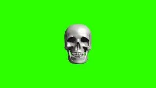 Rotating Skull #1 / Green Screen - Chroma Key