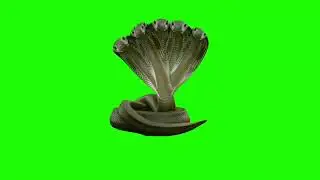 #greenscreen #snackvideo #green #greenscreenvideo