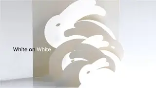 Award Winning Design | Champion Paper: White on White Page Animation