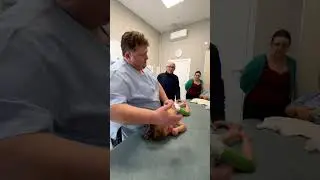 На видео невролог, Войта-терапевт, рефлексотерапевт — Напёров Владимир Валерьевич.👨‍⚕
