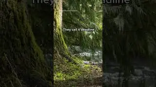 Motivation to relax, you need it, Memes 😂