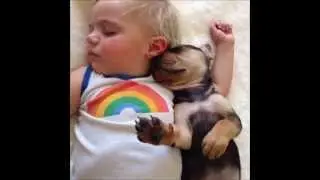 Тео и Бэо -- восхитительные фотографии, видео щенка и малыша. 4