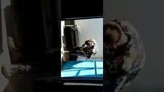 Сердце из ст3 ( 180 на 8мм ) с упором