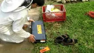 Bee Removal Tutorial - How to do a Cutout 101