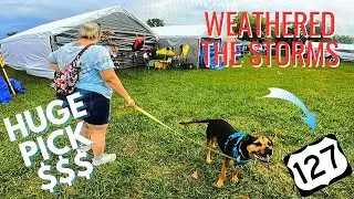 BIG MONEY HAUL! KENOUGH TO MAKE PROFIT? + STORM DAMAGE RECAP