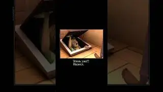 леди баг мем  