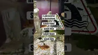 Jahreszeiten Deutschland