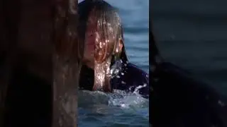 CJ Rescues A Littl Girl 