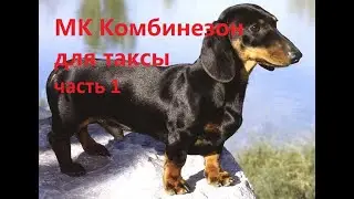 МК КОМБИНЕЗОН ДЛЯ ТАКСЫ #1 ЧАСТЬ