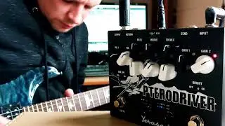 Tube Preamp YERASOV Pterodriver PD - 7