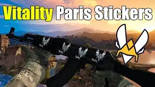 CSGO - Vitality Paris Stickers / AK-Slate