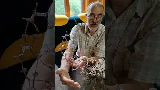 Поколения пикотехнологических моделей