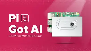 Your Vision AI Mate for RPi 5 - Arducam PiNSIGHT
