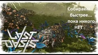 Last Oasis - где добыть железную руду? ПОехали покажу)