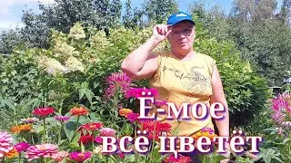 Огородик весь в цветах.