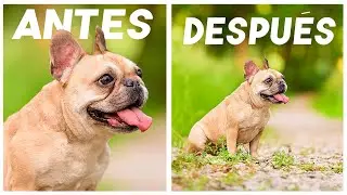 Como EXTENDER una FOTO con INTELIGENCIA ARTIFICIAL / Adobe Photoshop iA