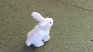 rabbit toy