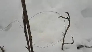 Проверка петель.Зима 2019