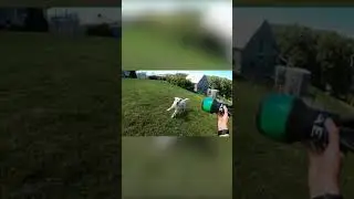 #Throwyourgopro