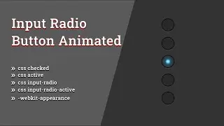 How To Make Custom Input Radio Button Using HTML & CSS || Input Radio CSS
