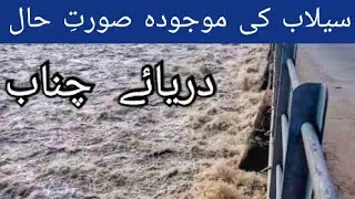 Flood Update | Chenab River Flood | Sial Morr Pindi Bhattian flood | Flood condition in Pakistan