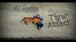 Tiger Attack || Short Video || Green Screen Animation video