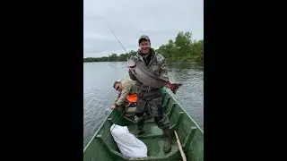 Рыбалка на Сахалине. Чавыча.