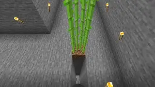 A normal day in MINEcraft