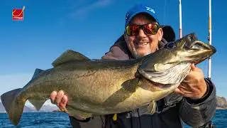 Angeln in Norwegen: Lofoten North Light and Fishing - Großfisch und Traumhäuser auf den Lofoten