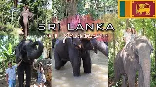 SRI LANKA VLOG-2 FİLLERLE BANYO ZAMANI -FİL SAFARİ