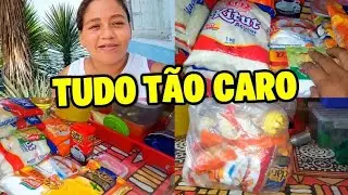 MONTHLY GROCERY HAUL: Everything is so expensive we could barely buy anything!