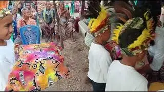 Peminangan Nona Timor oleh Nyong Papua - Kupang NTT