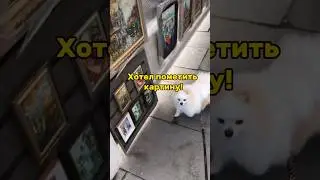 Бонди хотел пометить картину. Шпиц сериал. Серия 21 