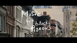 Music For Black Pigeons - Official Trailer
