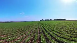 Campo en 360 injected