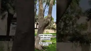 Dubai house rent😰