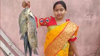 তেলাপিয়া মাছের তেল ঝাল ll কম তেল মশলা দিয়েও এইভাবে বানালে স্বাদ হবে দুর্দান্ত|Talapia machher jhal