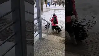 Электровелосипед Wenbox Monster с Богом в добрый путь 
