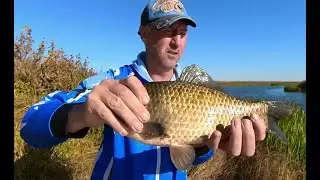 Самый простой способ рыбной ловли карася и плотвы